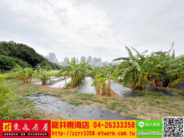 台中西屯農地-7