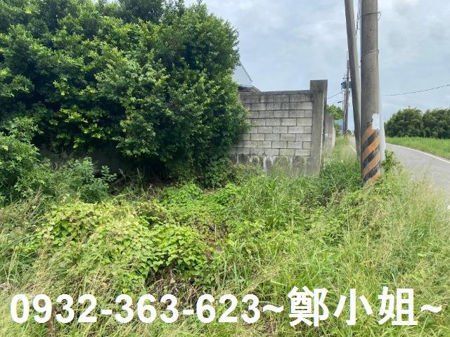 桃園農地-9