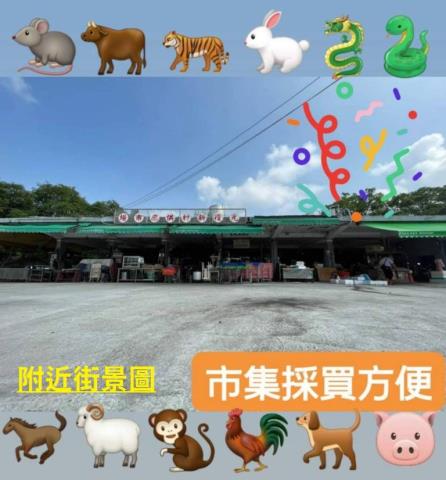 台中建地-10