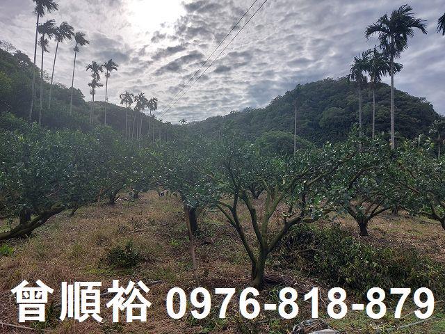 新竹農地-8
