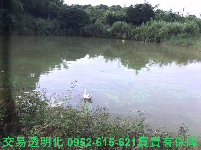 台南白河農地-8