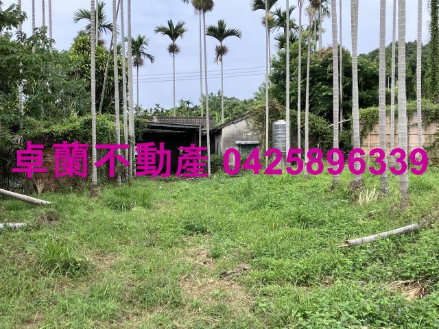 卓蘭農地-1