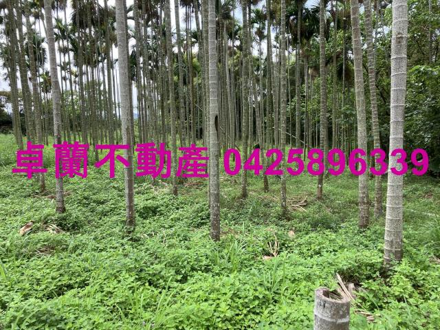 卓蘭農地-2