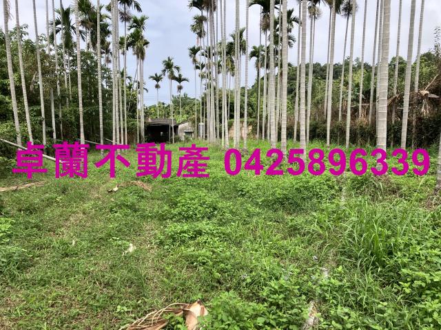 卓蘭農地-4