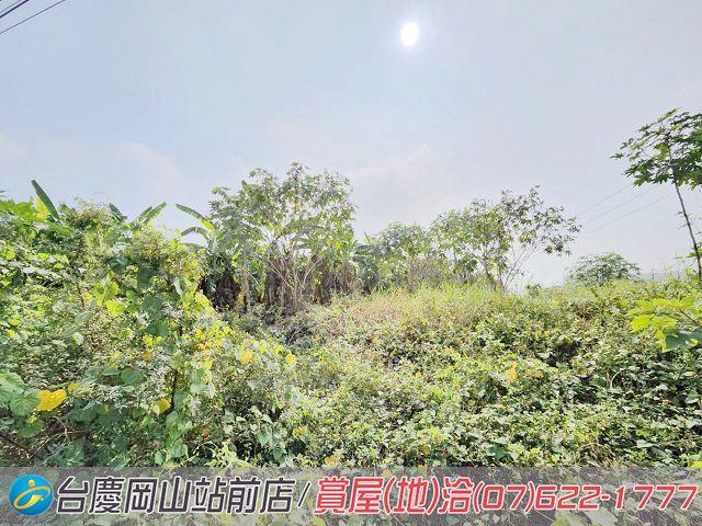 阿蓮農地-3