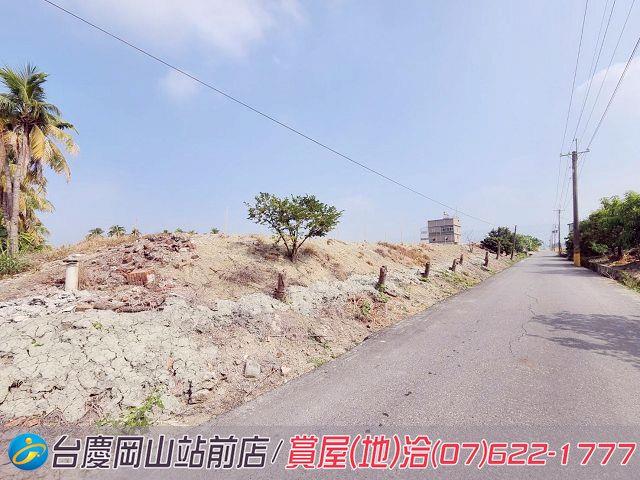 阿蓮農地-6