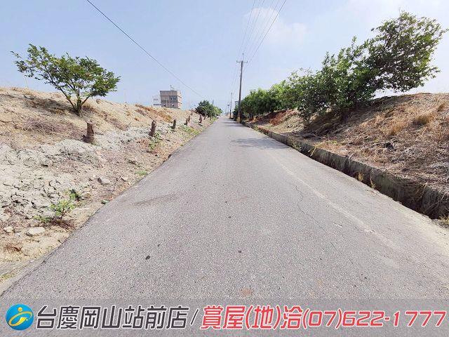 阿蓮農地-7