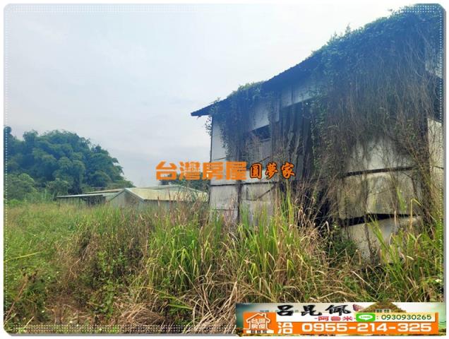 民雄農地-3