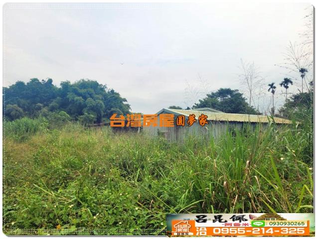 民雄農地-4
