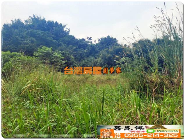 民雄農地-5