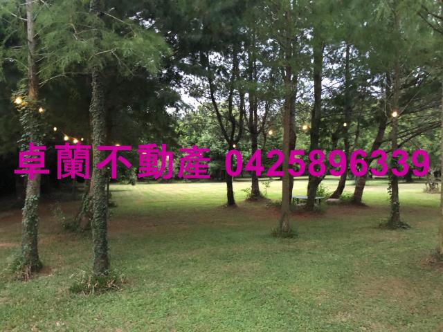 苗栗農地-9