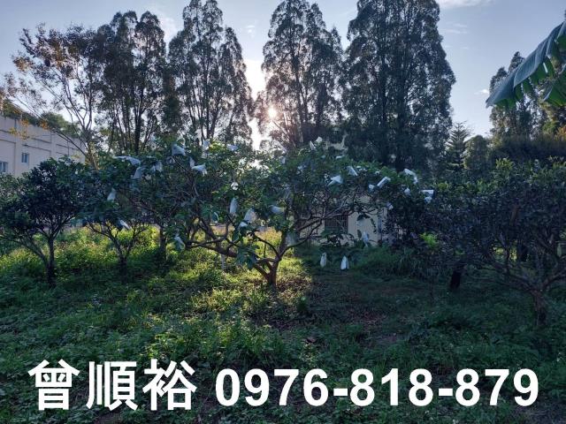 橫山農地-8