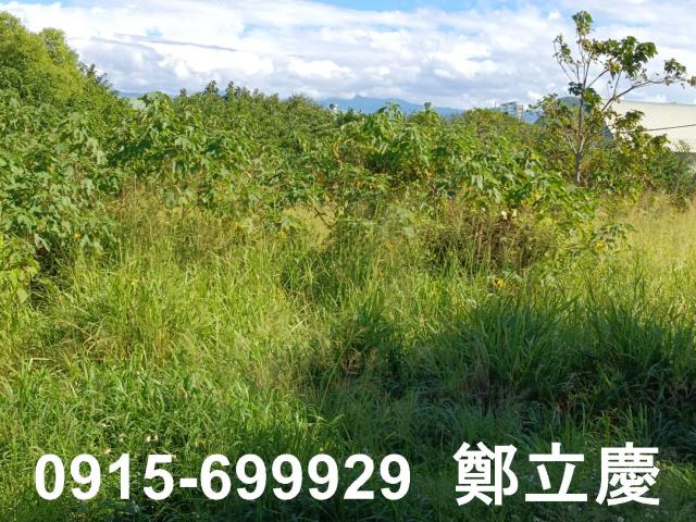 苗栗苗栗市農地-6