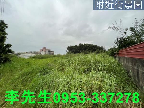 台南仁德農地-6