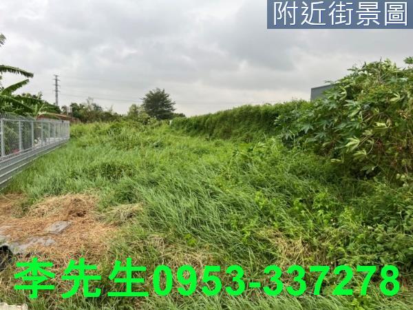 台南仁德農地-9
