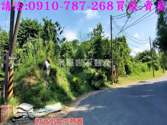 台南龍崎林地-8