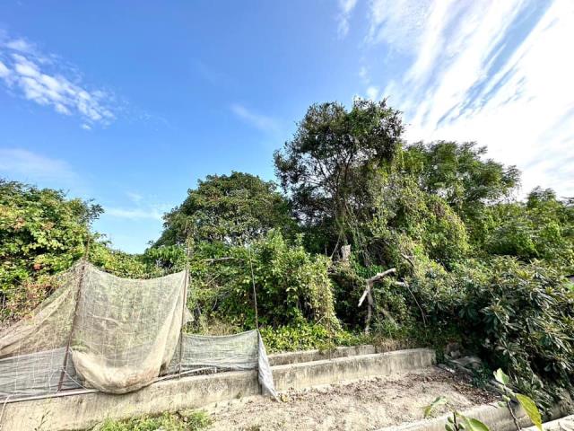 台中大雅農地-5