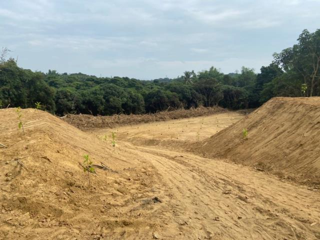 台南大內農地-5