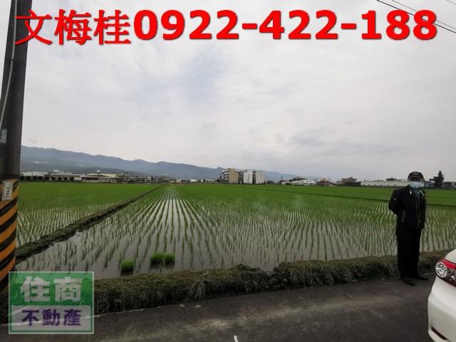 宜蘭農地-2