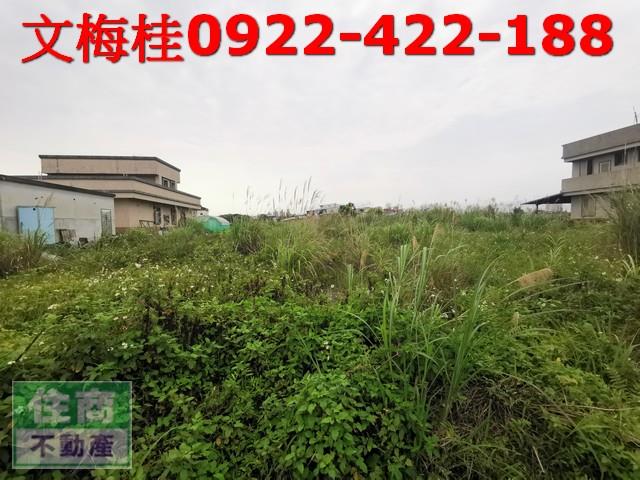 宜蘭農地-4