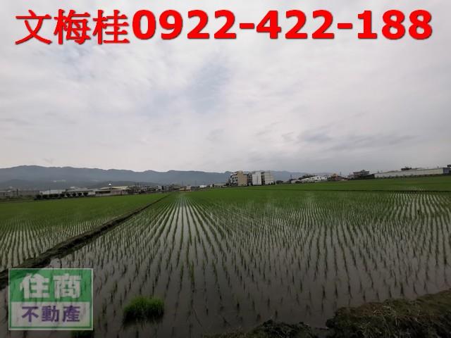 宜蘭農地-5