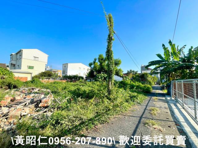 善化建地-1