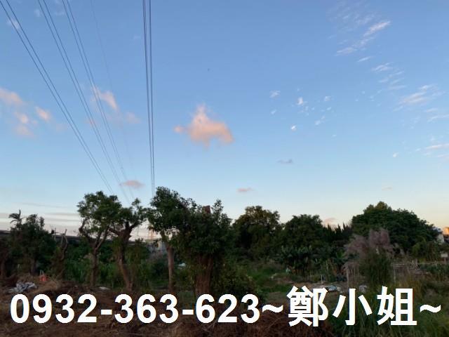 桃園區農地-2