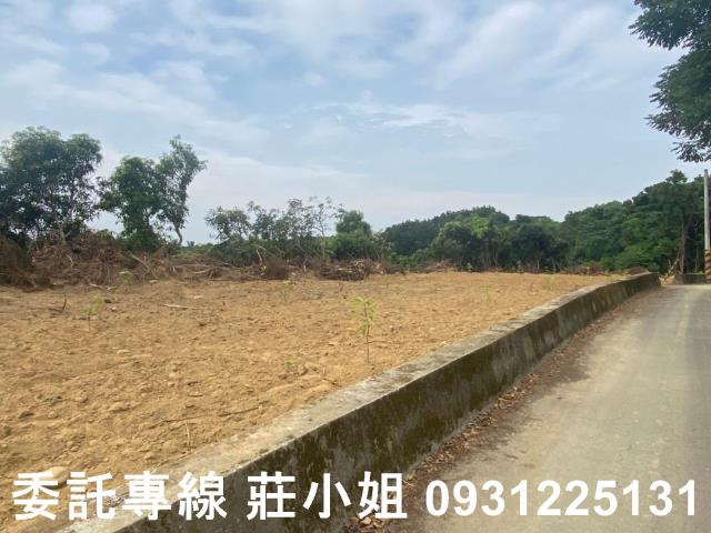 大內農地-8