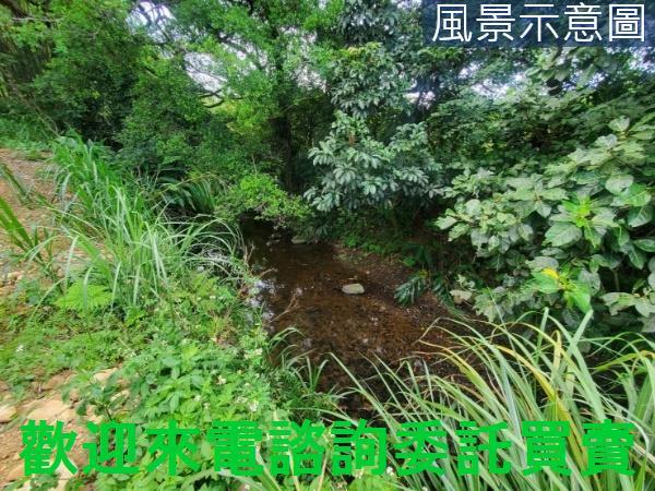 新北三芝農地-9
