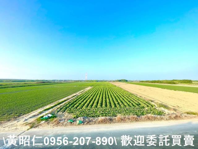 安南農地-7