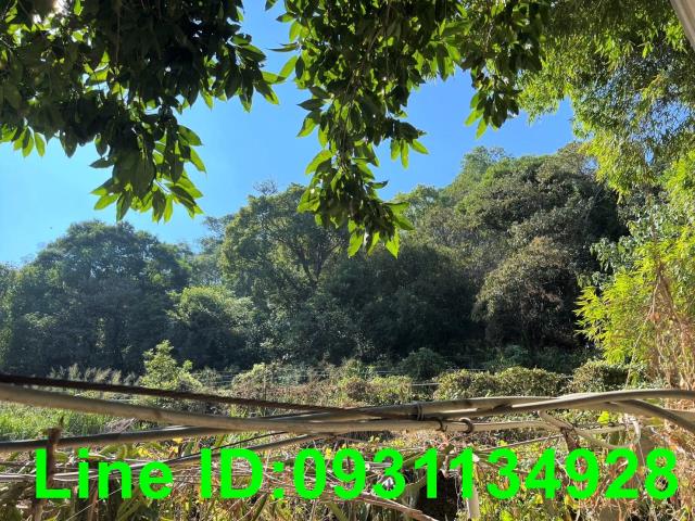 外埔農地-6