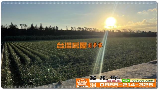 東勢鄉農地-2
