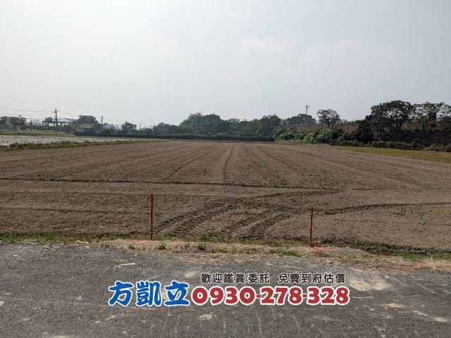 官田農地-7