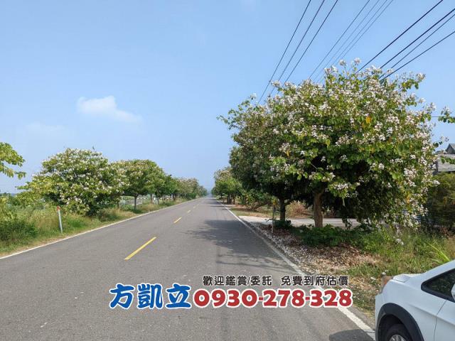 台南農地-2