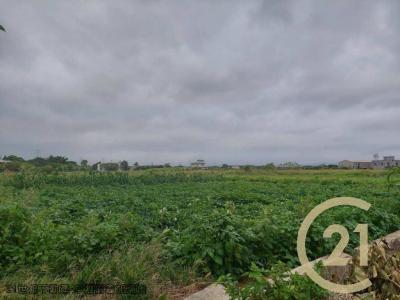 桃園楊梅農地-4