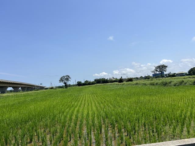 新屋農地-2