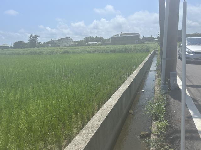 新屋農地-3