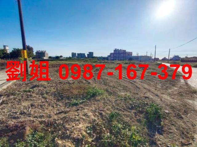 高雄湖內農地-1