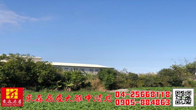 台中農地-10