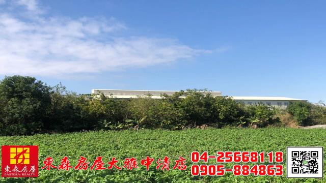 台中農地-11