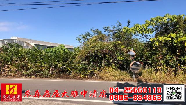 台中農地-4