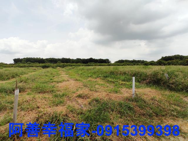 玉井農地-2