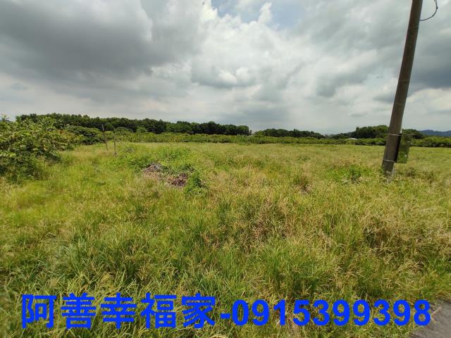玉井農地-4