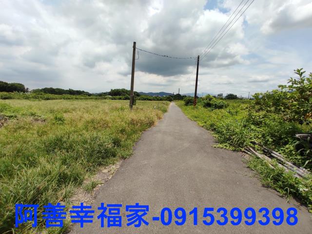 玉井農地-5
