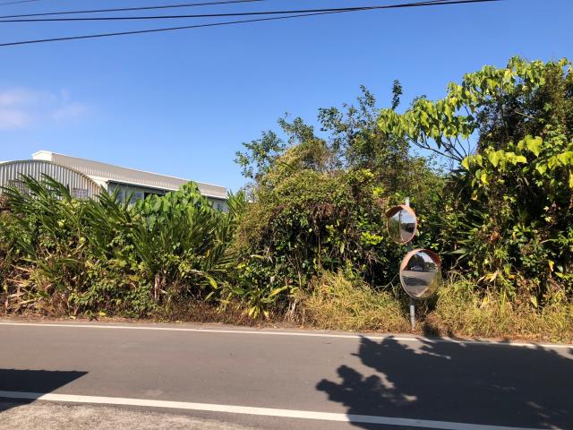 台中農地-9
