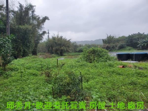 新北石門農地-2