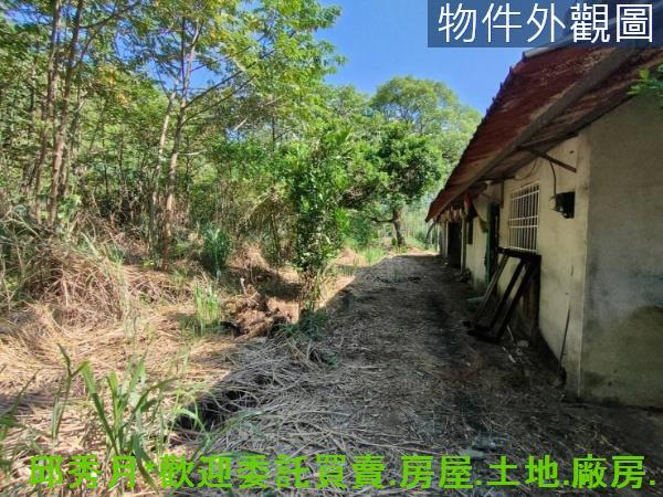 新北石門農地-5