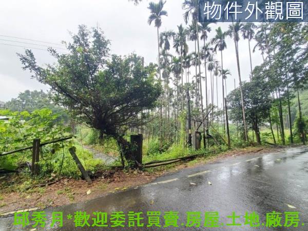 新北石門農地-8