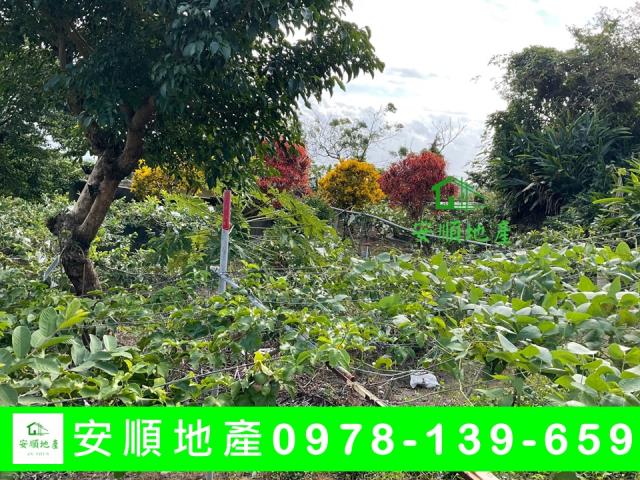 卑南農地-8