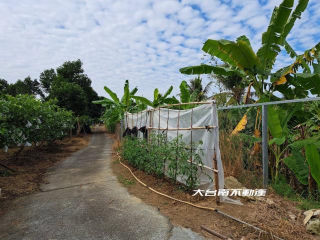 台南農地-6